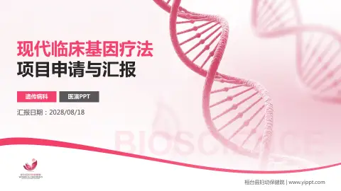 桓台县妇幼保健院项目申请与汇报PPT模板