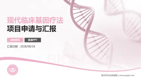 莱州市妇幼保健院项目申请与汇报PPT模板