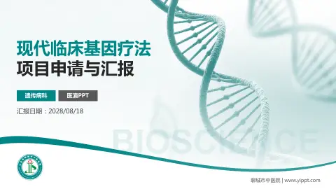 聊城市中医院项目申请与汇报PPT模板