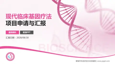 聊城市东昌府区妇幼保健院项目申请与汇报PPT模板