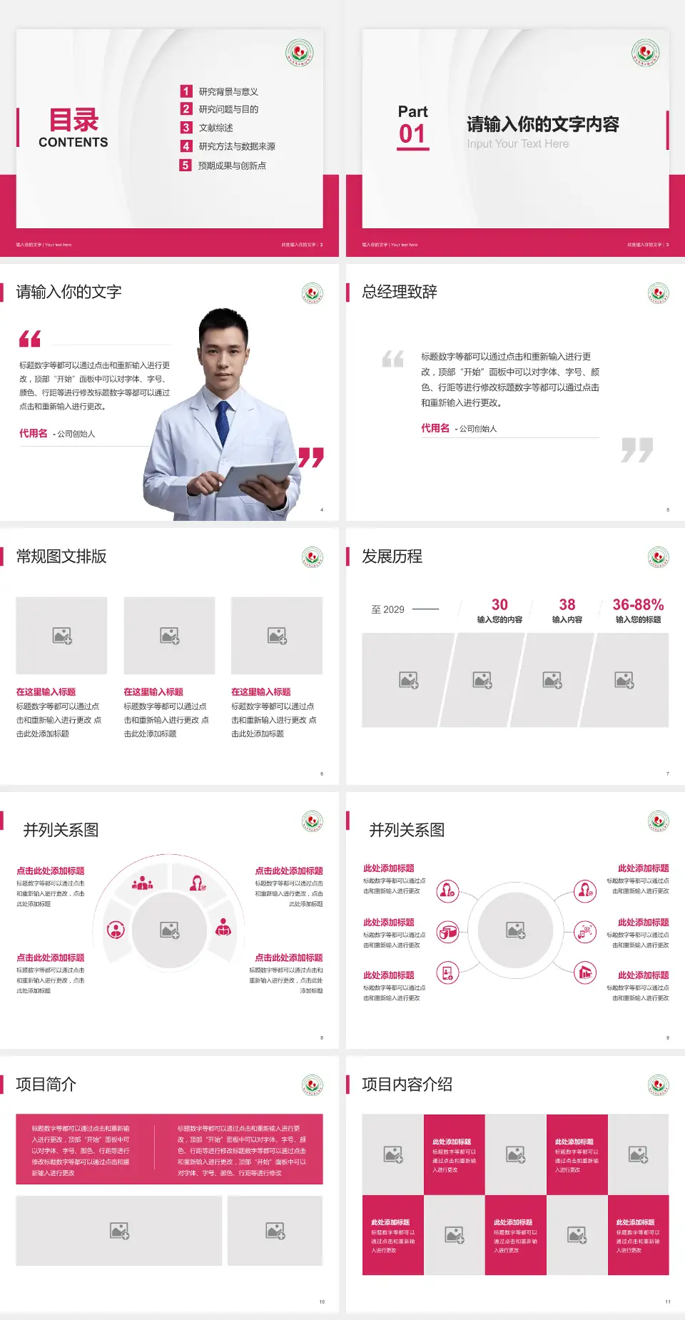 连云港市妇幼保健院医院管理报告PPT模板4:3格式幻灯片预览图2