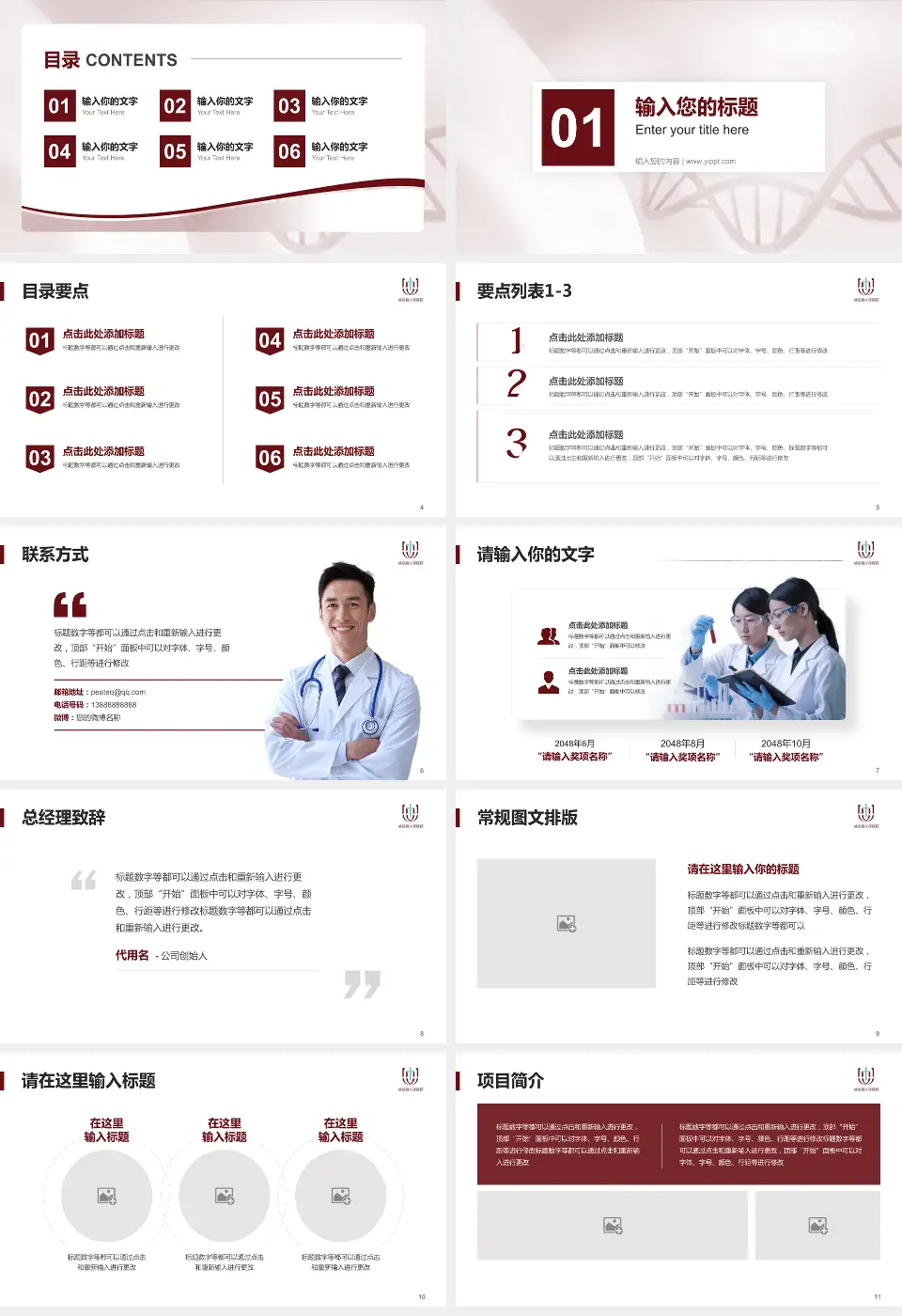 成武县人民医院项目申请与汇报PPT模板16:9格式幻灯片预览图2