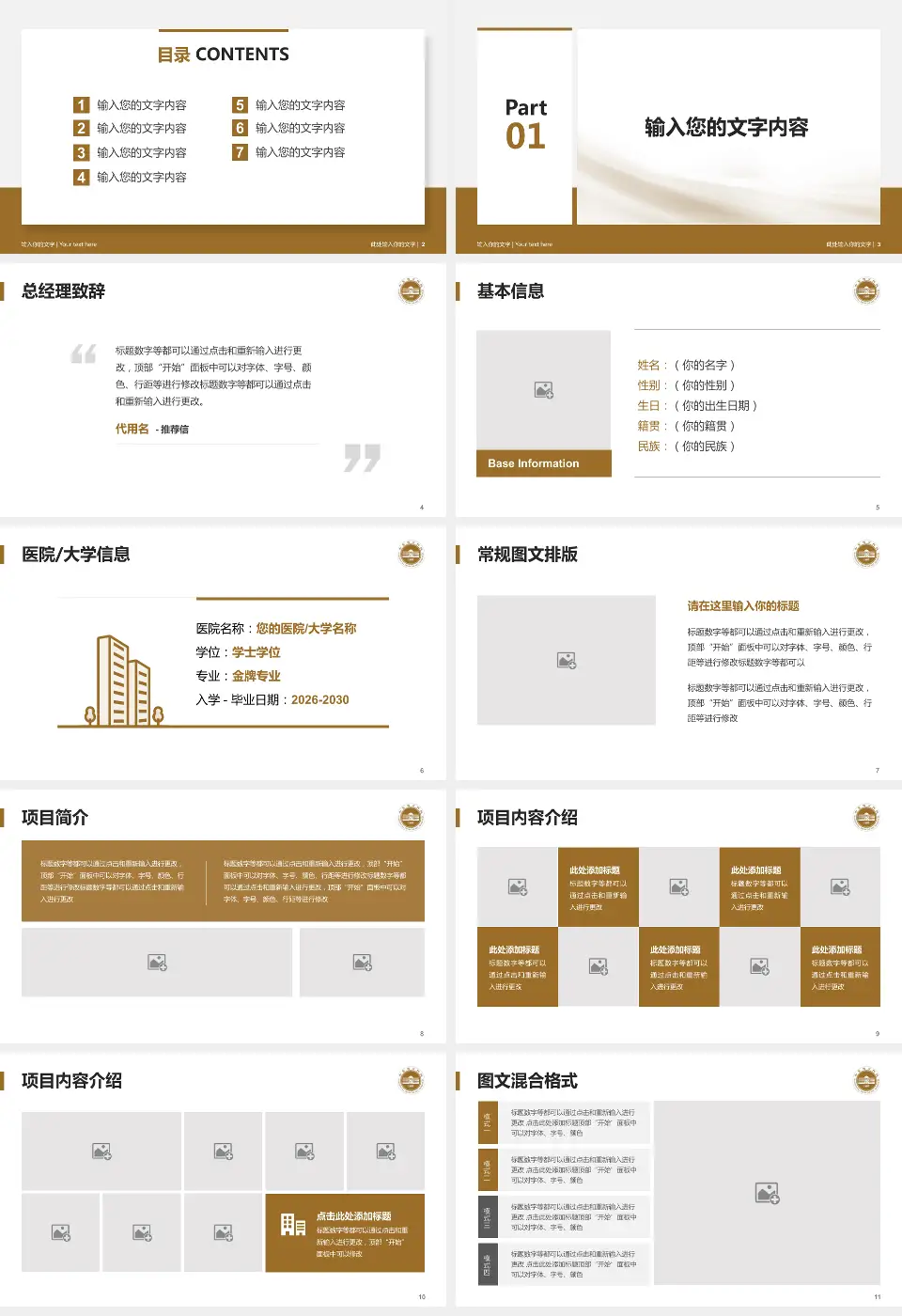 山东省立医院东院个人求职应聘简历PPT模板16:9格式幻灯片预览图2
