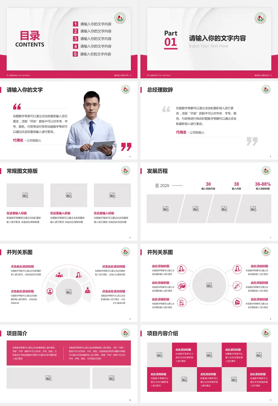 连云港市妇幼保健院医院管理报告PPT模板16:9格式幻灯片预览图2