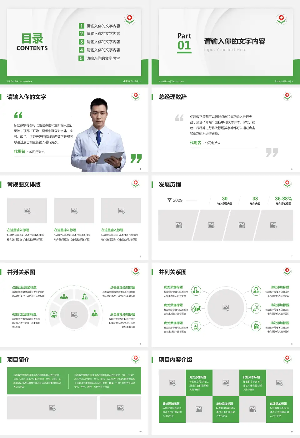 临邑县人民医院医院管理报告PPT模板16:9格式幻灯片预览图2