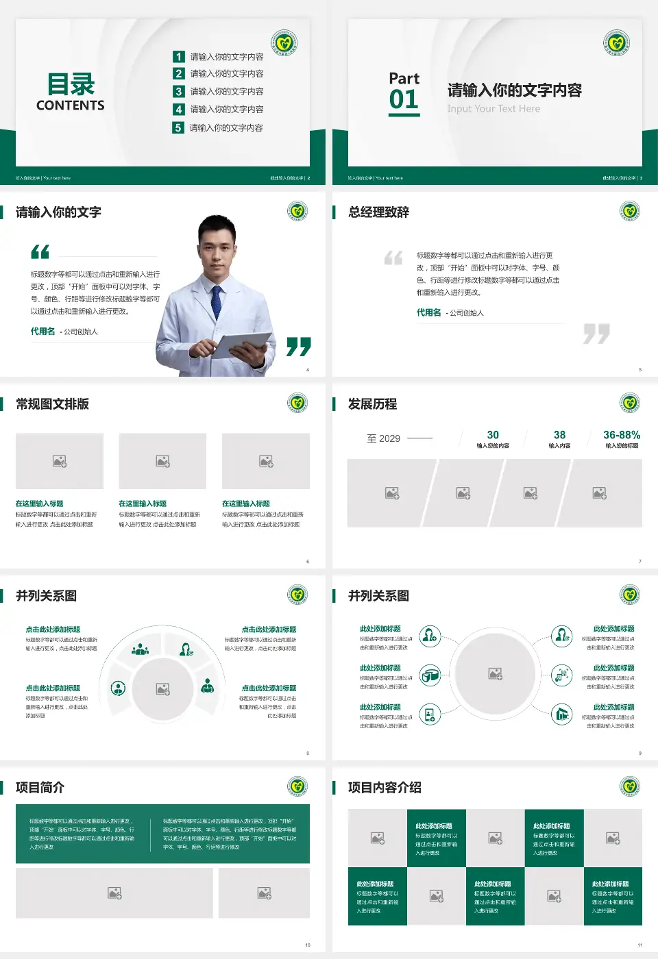 连云港市第四人民医院医院管理报告PPT模板16:9格式幻灯片预览图2