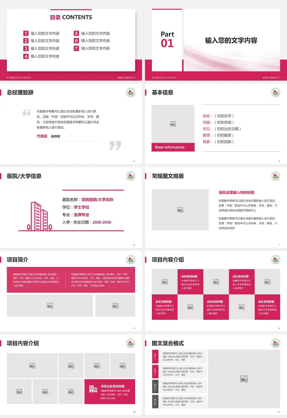 连云港市妇幼保健院个人求职应聘简历PPT模板16:9格式幻灯片预览图2