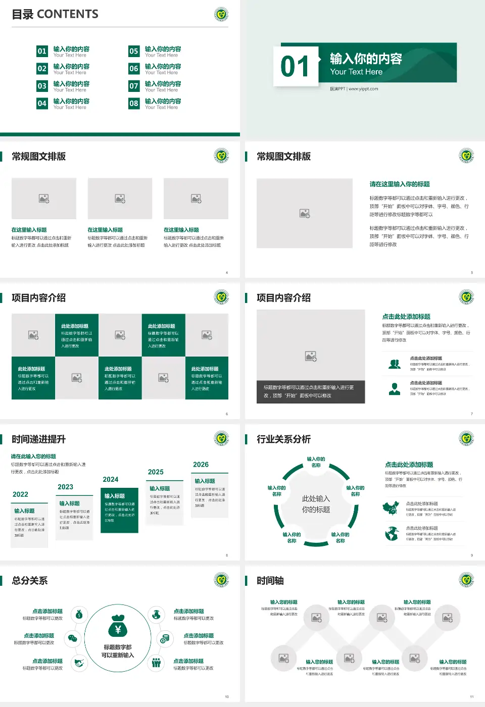 连云港市第四人民医院财务与预算报告PPT模板16:9格式幻灯片预览图2