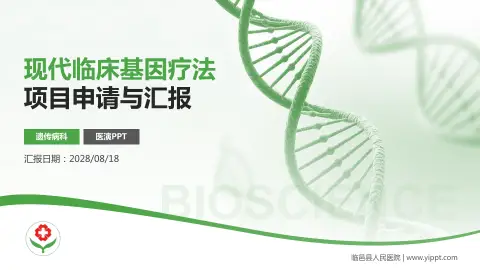 临邑县人民医院项目申请与汇报PPT模板