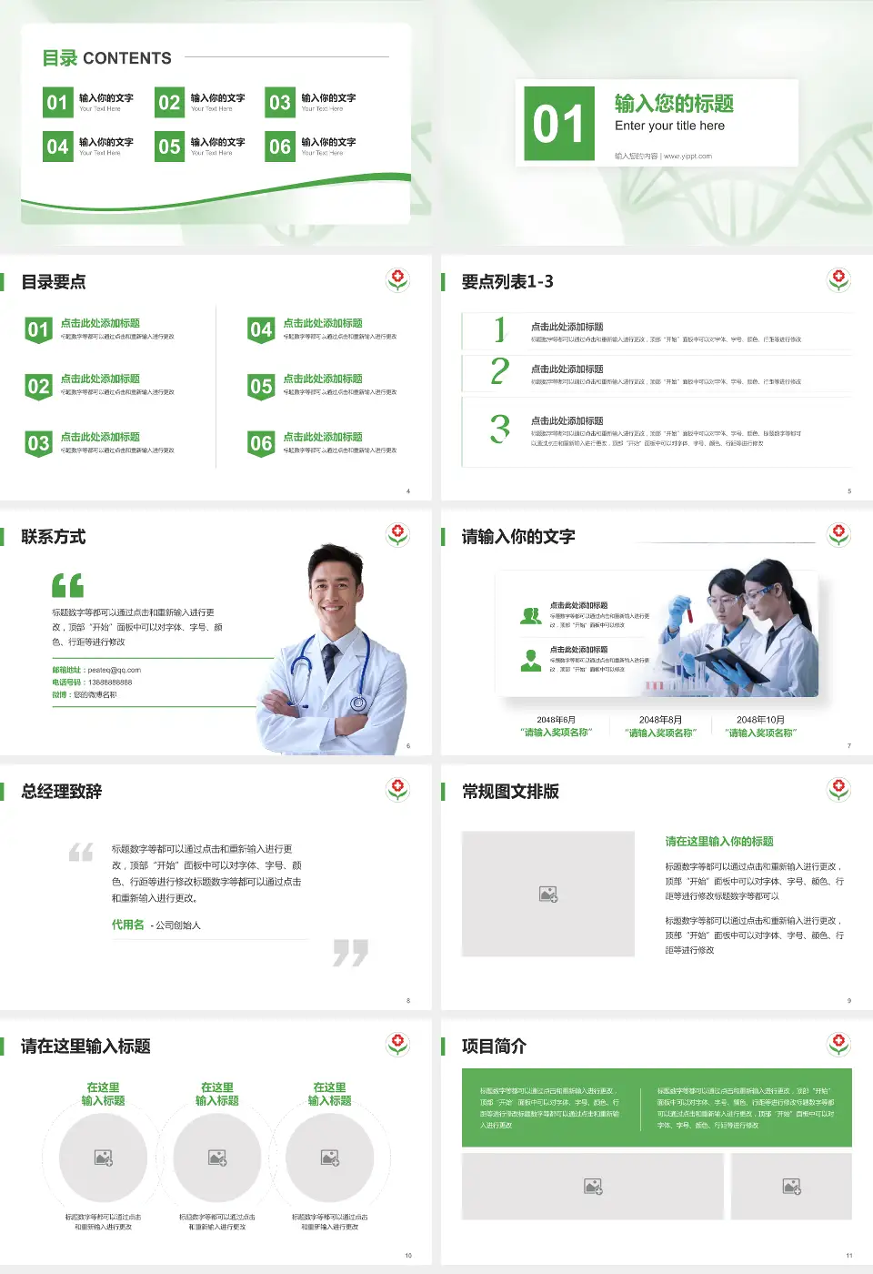 临邑县人民医院项目申请与汇报PPT模板16:9格式幻灯片预览图2