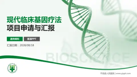 平邑县人民医院项目申请与汇报PPT模板