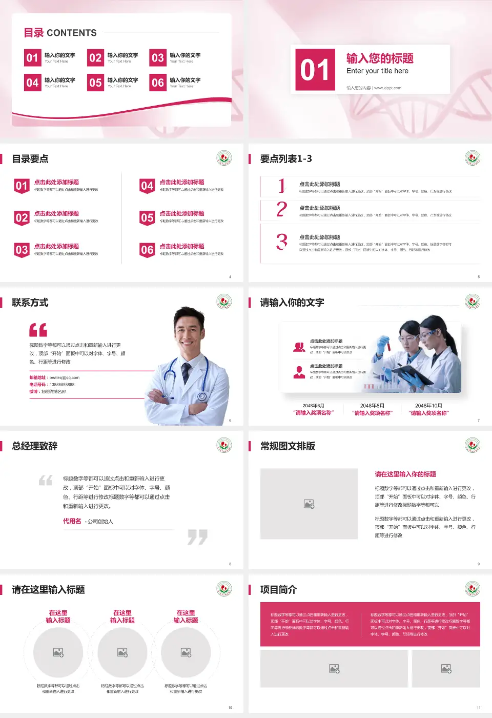 连云港市妇幼保健院项目申请与汇报PPT模板16:9格式幻灯片预览图2