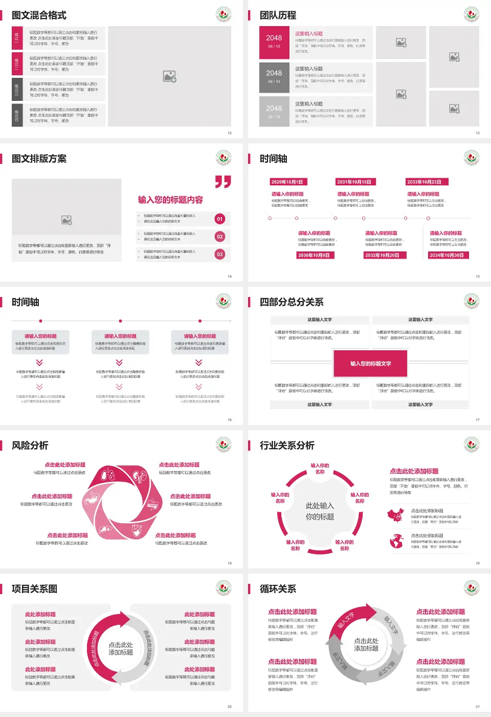 连云港市妇幼保健院项目申请与汇报PPT模板16:9格式幻灯片预览图3
