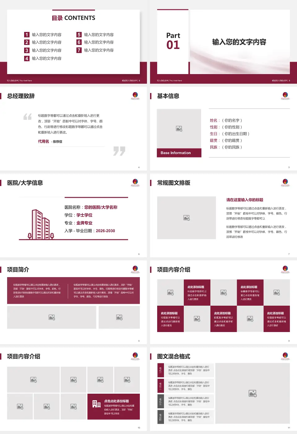 临沂市妇幼保健院个人求职应聘简历PPT模板16:9格式幻灯片预览图2