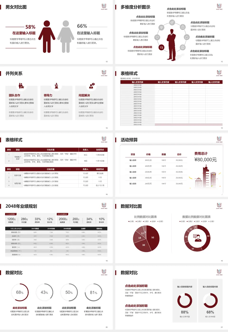成武县人民医院财务与预算报告PPT模板16:9格式幻灯片预览图3