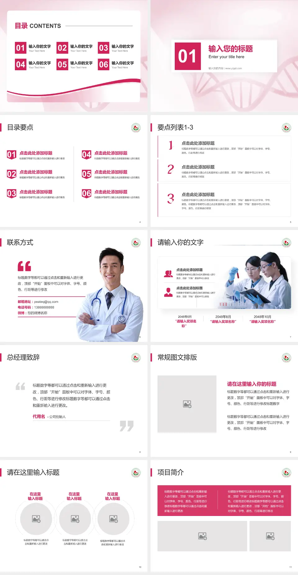 连云港市妇幼保健院项目申请与汇报PPT模板4:3格式幻灯片预览图2