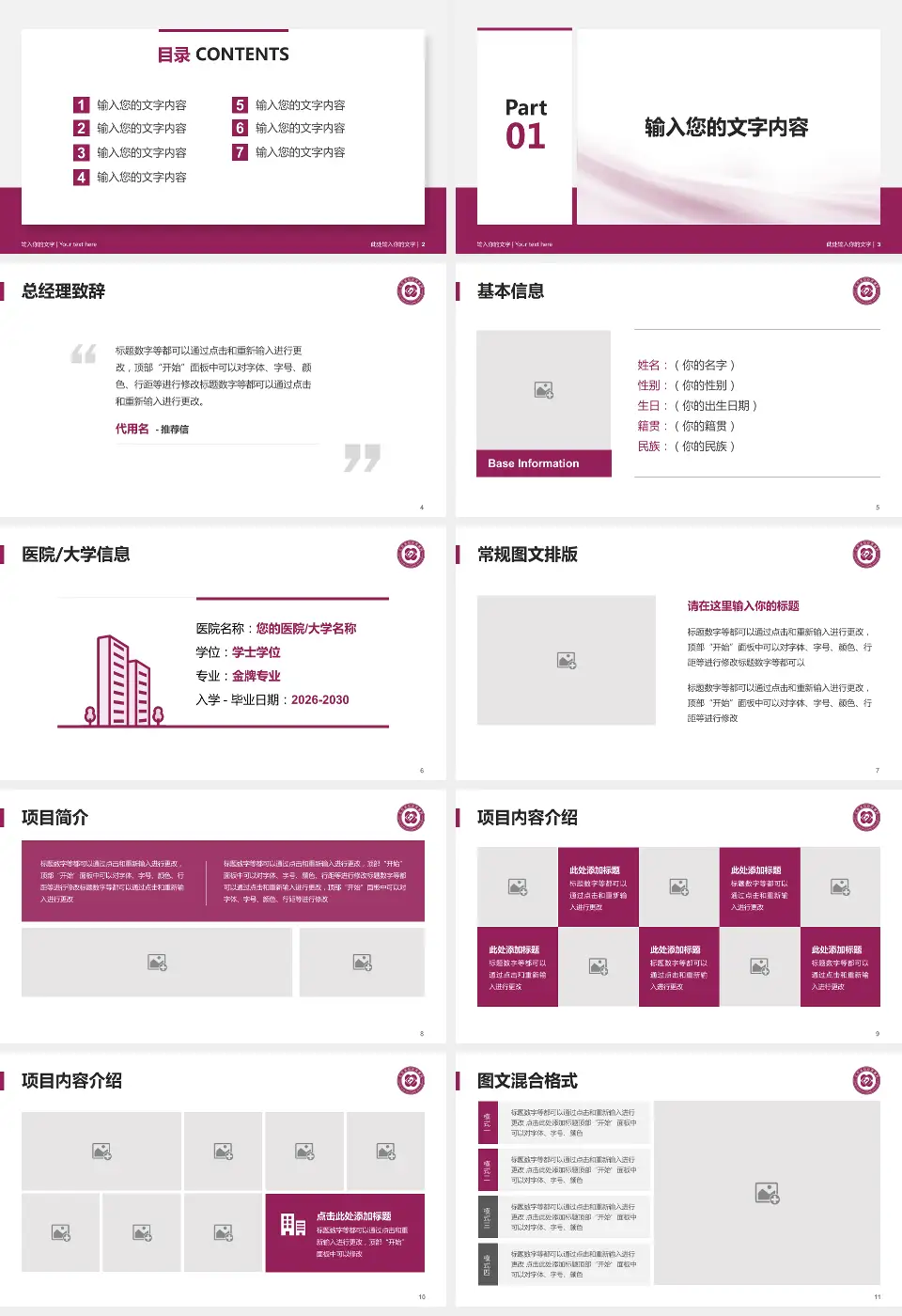 江苏省妇幼保健院个人求职应聘简历PPT模板16:9格式幻灯片预览图2