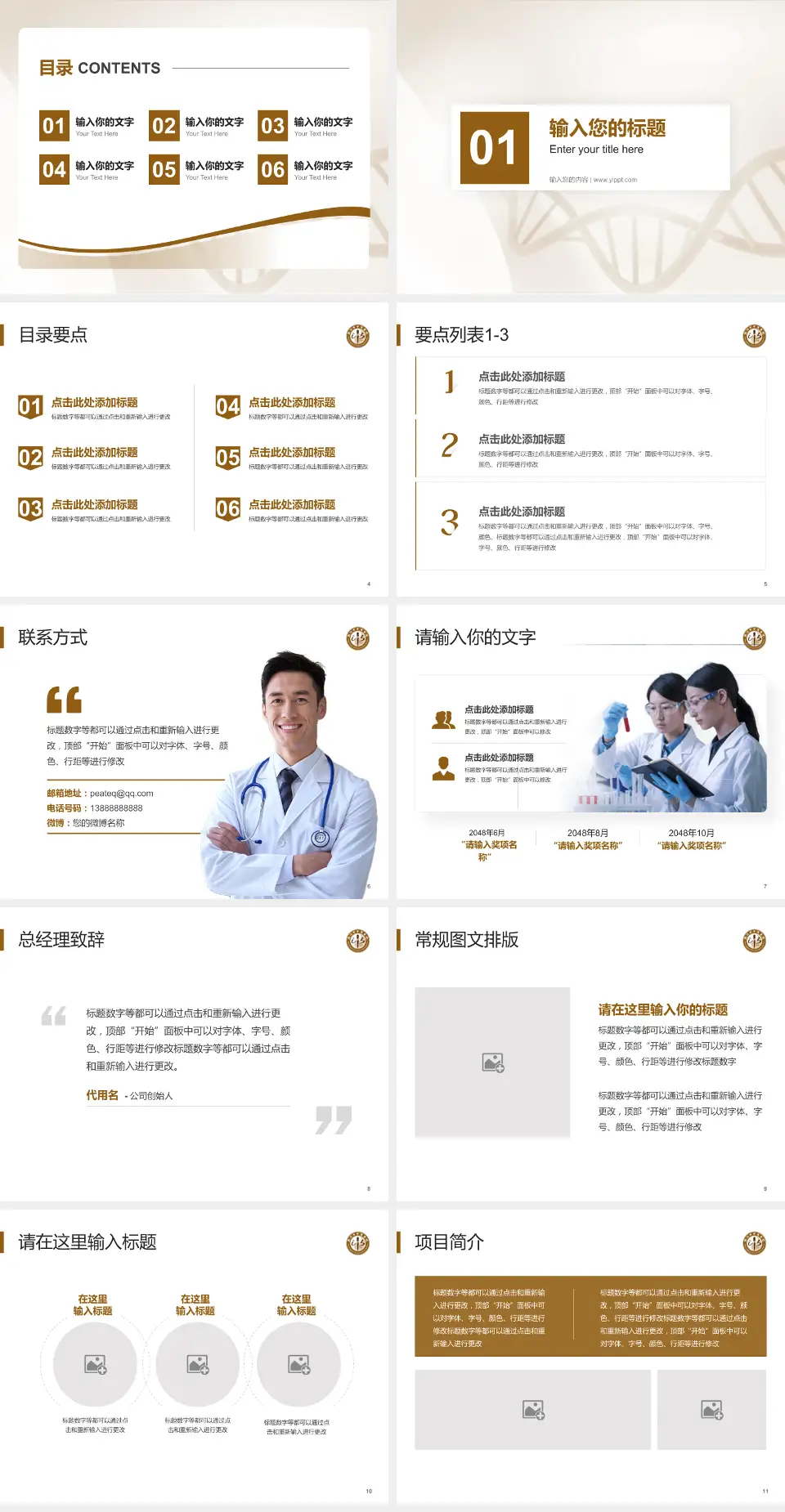 新沂市中医医院项目申请与汇报PPT模板4:3格式幻灯片预览图2