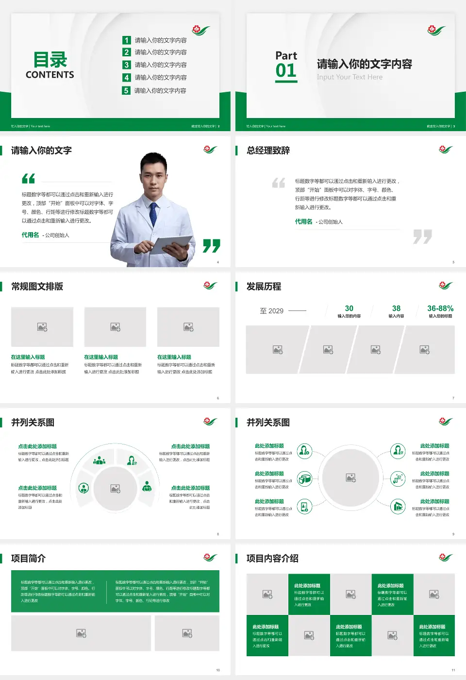 吉林省脑科医院医院管理报告PPT模板16:9格式幻灯片预览图2
