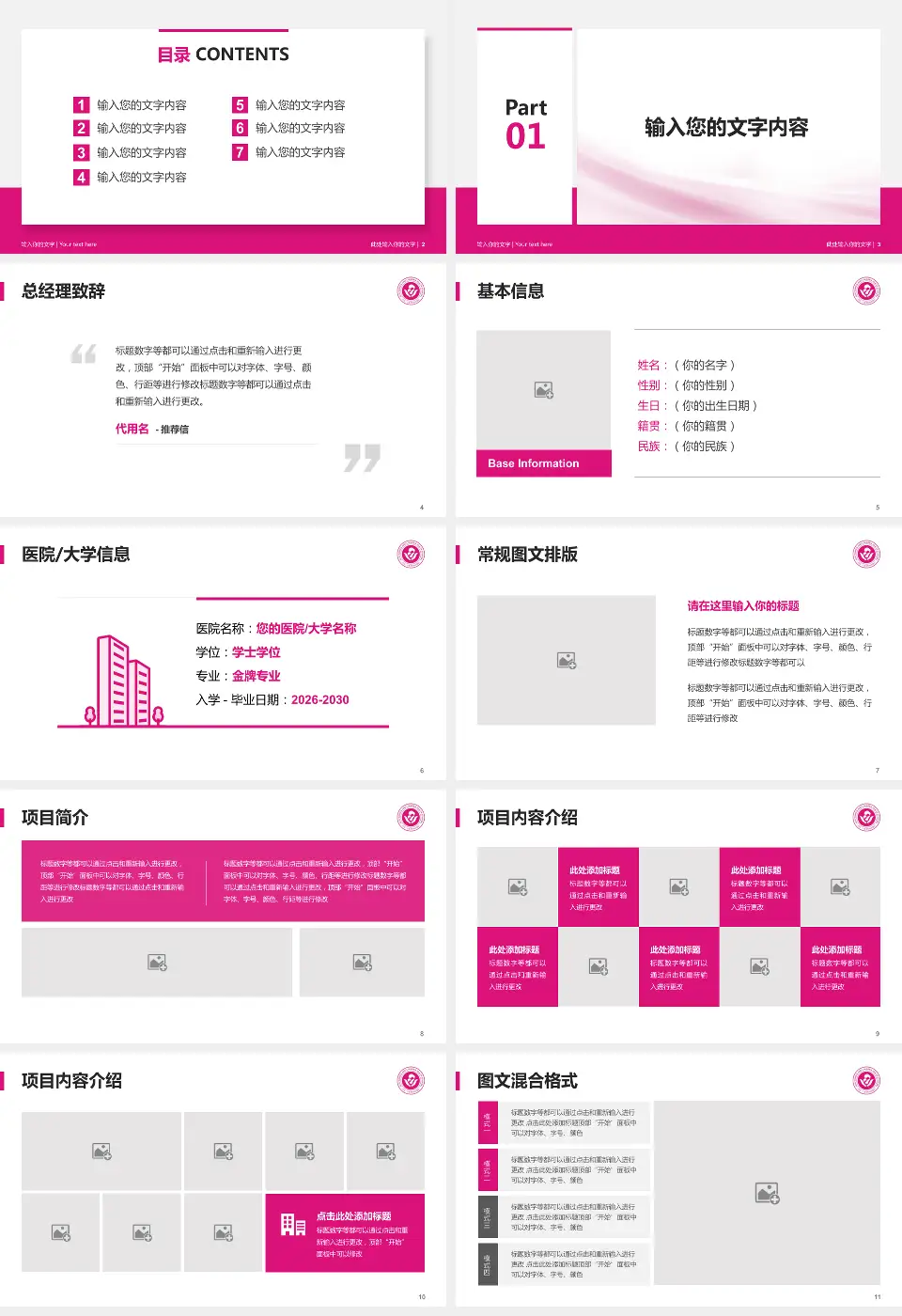 吉林省妇幼保健院个人求职应聘简历PPT模板16:9格式幻灯片预览图2