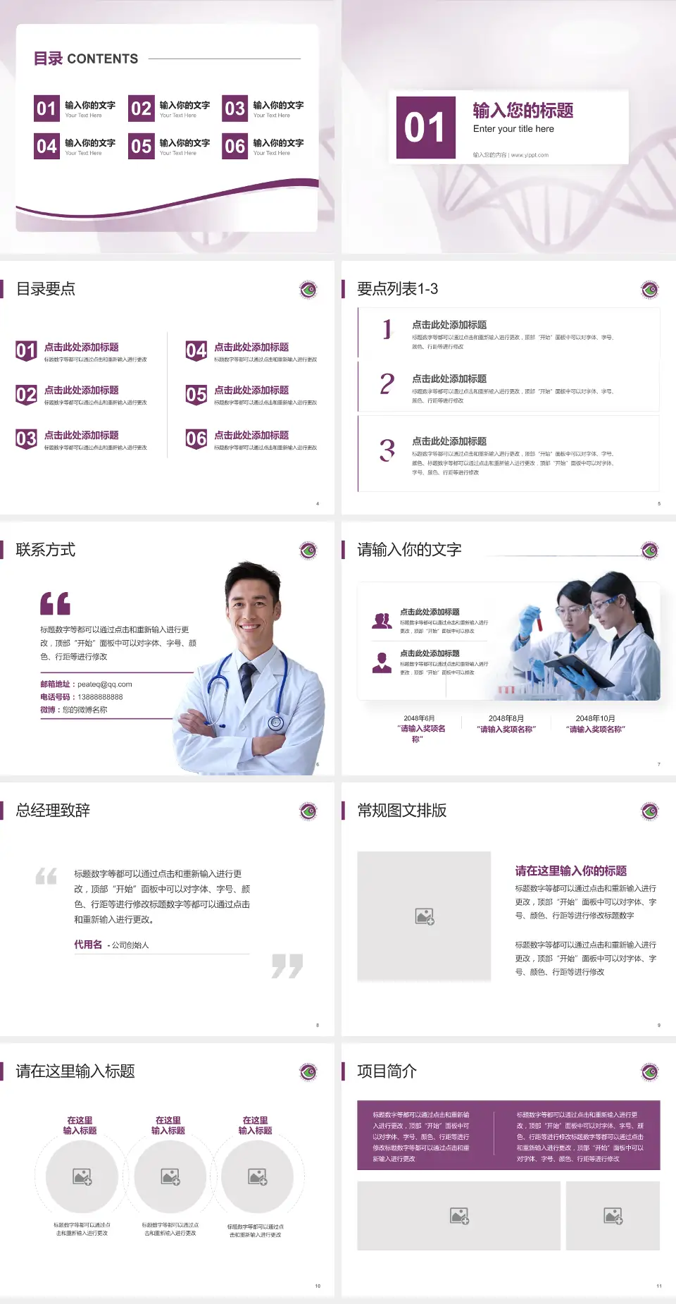 深圳市龙岗区人民医院项目申请与汇报PPT模板4:3格式幻灯片预览图2