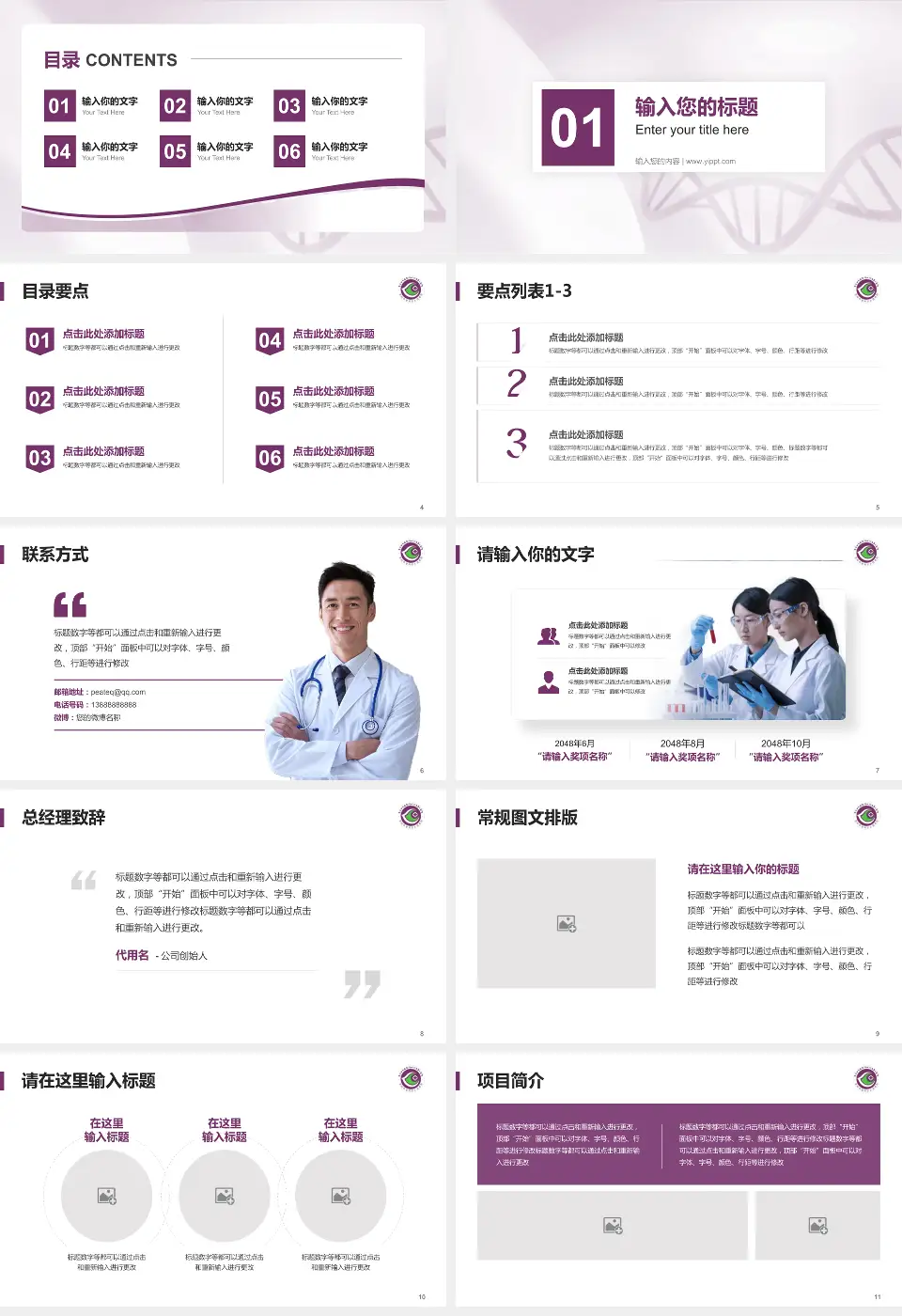 深圳市龙岗区人民医院项目申请与汇报PPT模板16:9格式幻灯片预览图2