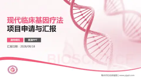 梅州市妇幼保健院项目申请与汇报PPT模板