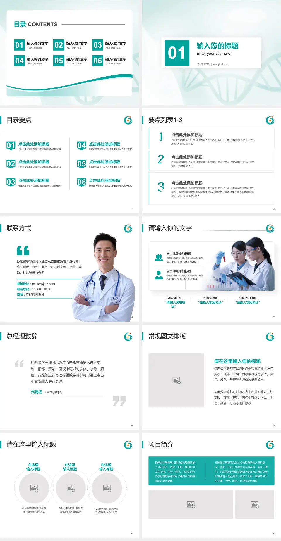 惠州市第六人民医院项目申请与汇报PPT模板4:3格式幻灯片预览图2