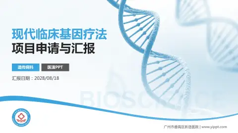 广州市番禺区新造医院项目申请与汇报PPT模板