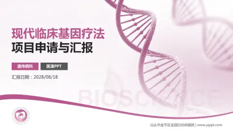 汕头市金平区金园妇幼保健院项目申请与汇报PPT模板