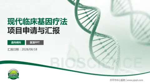 开平市中心医院项目申请与汇报PPT模板