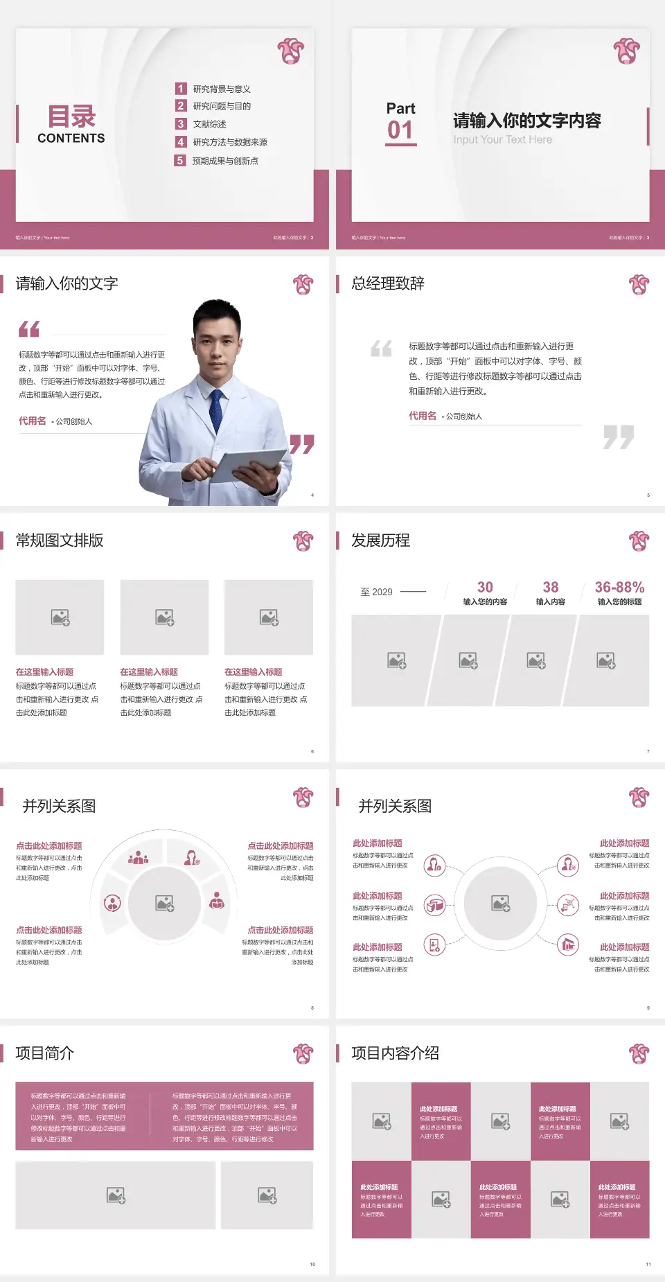 广东省妇幼保健院番禺分院医院管理报告PPT模板4:3格式幻灯片预览图2