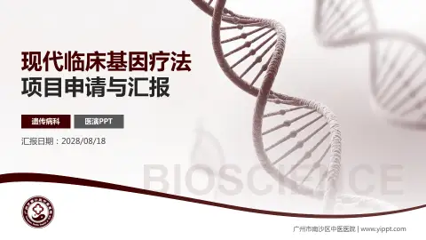 广州市南沙区中医医院项目申请与汇报PPT模板