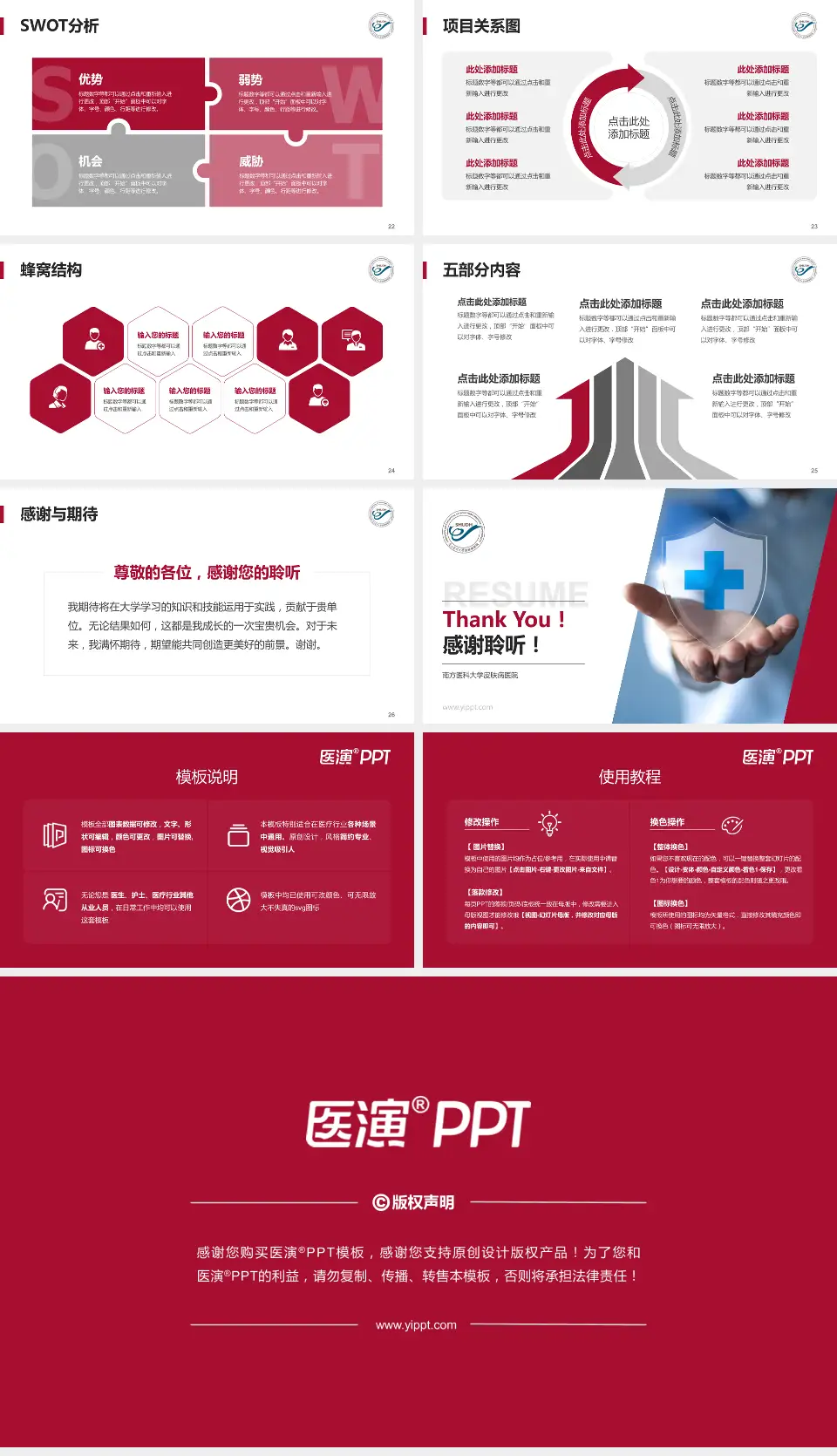 南方医科大学皮肤病医院个人求职应聘简历PPT模板16:9格式幻灯片预览图4