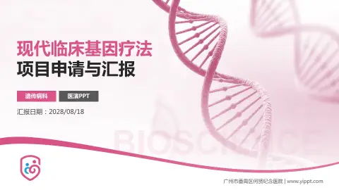 广州市番禺区何贤纪念医院项目申请与汇报PPT模板
