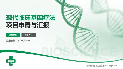 广州市番禺区化龙医院项目申请与汇报PPT模板