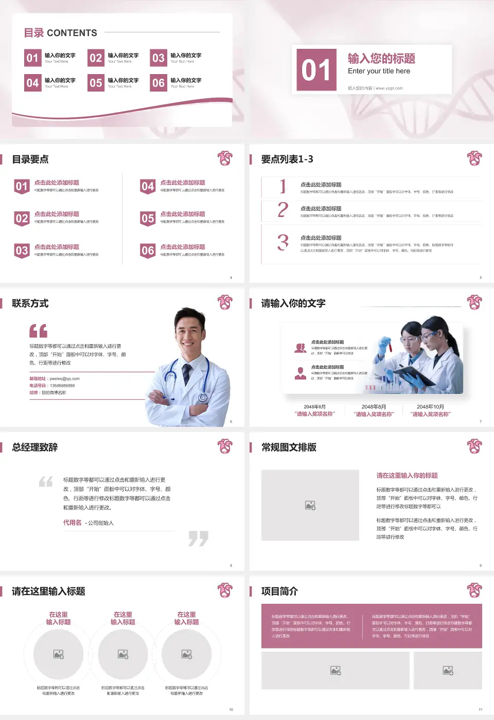 广东省妇幼保健院番禺分院项目申请与汇报PPT模板16:9格式幻灯片预览图2