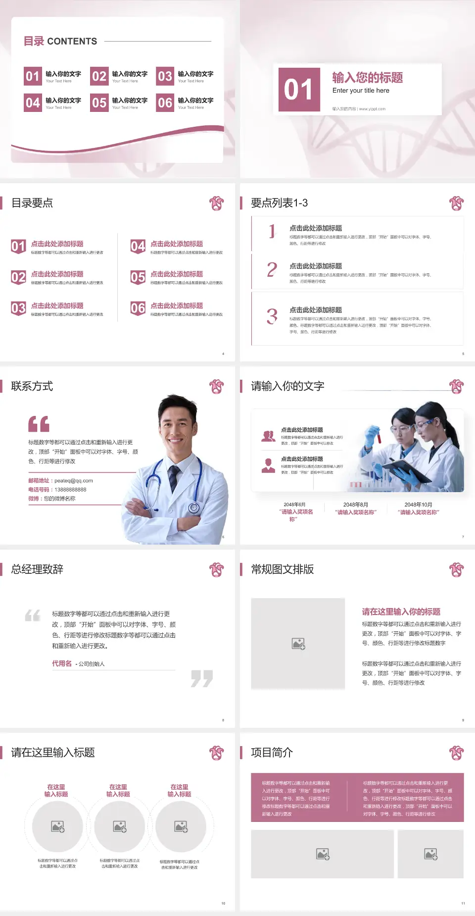 广东省妇幼保健院番禺分院项目申请与汇报PPT模板4:3格式幻灯片预览图2