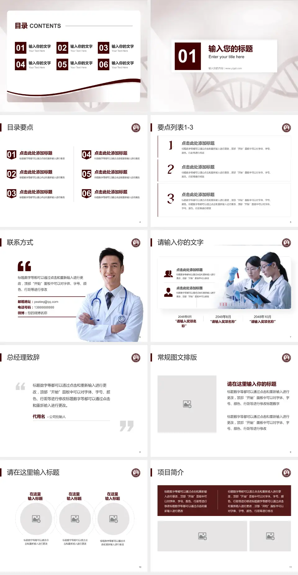 广州市南沙区中医医院项目申请与汇报PPT模板4:3格式幻灯片预览图2