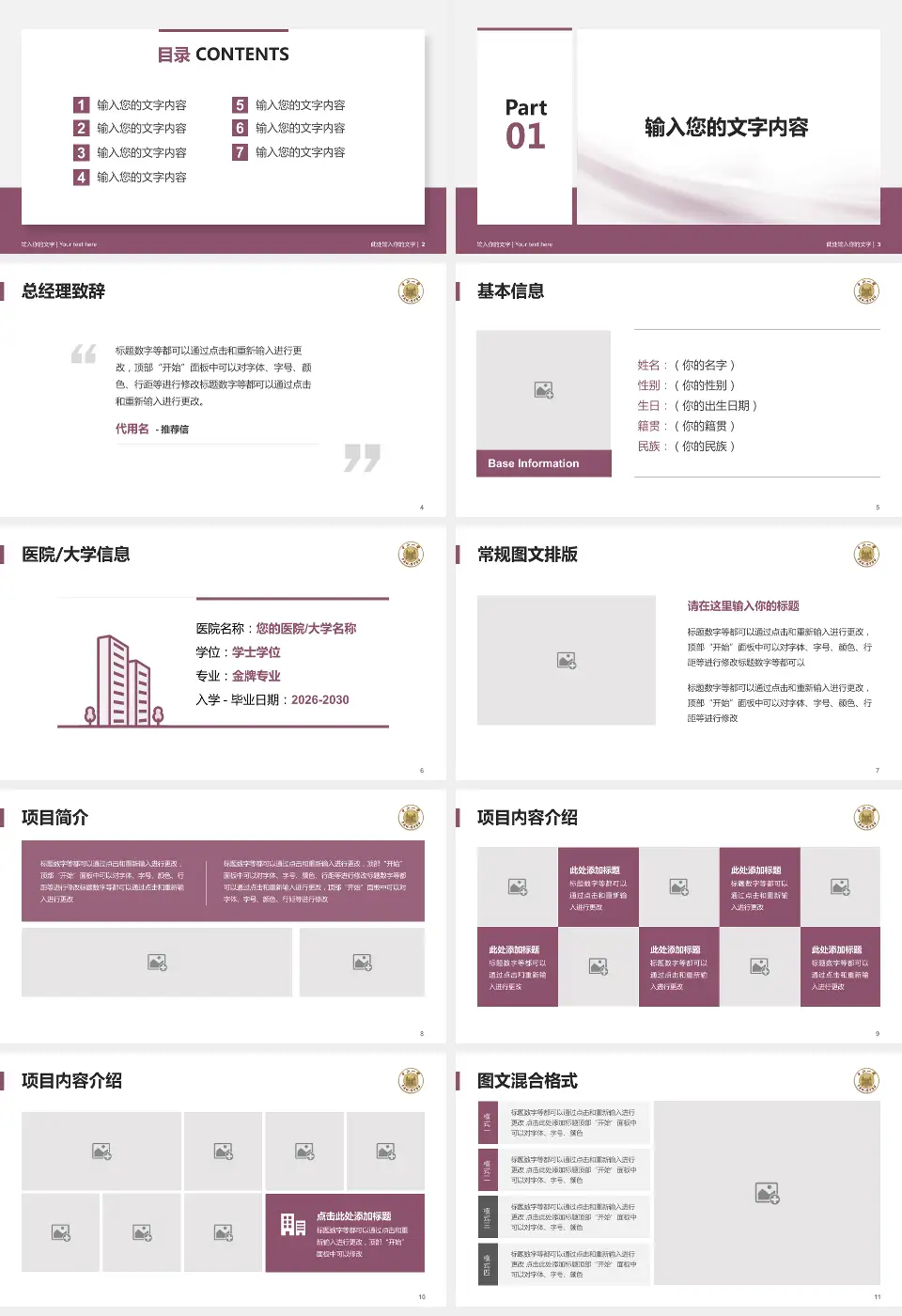 中山大学附属第一医院个人求职应聘简历PPT模板16:9格式幻灯片预览图2