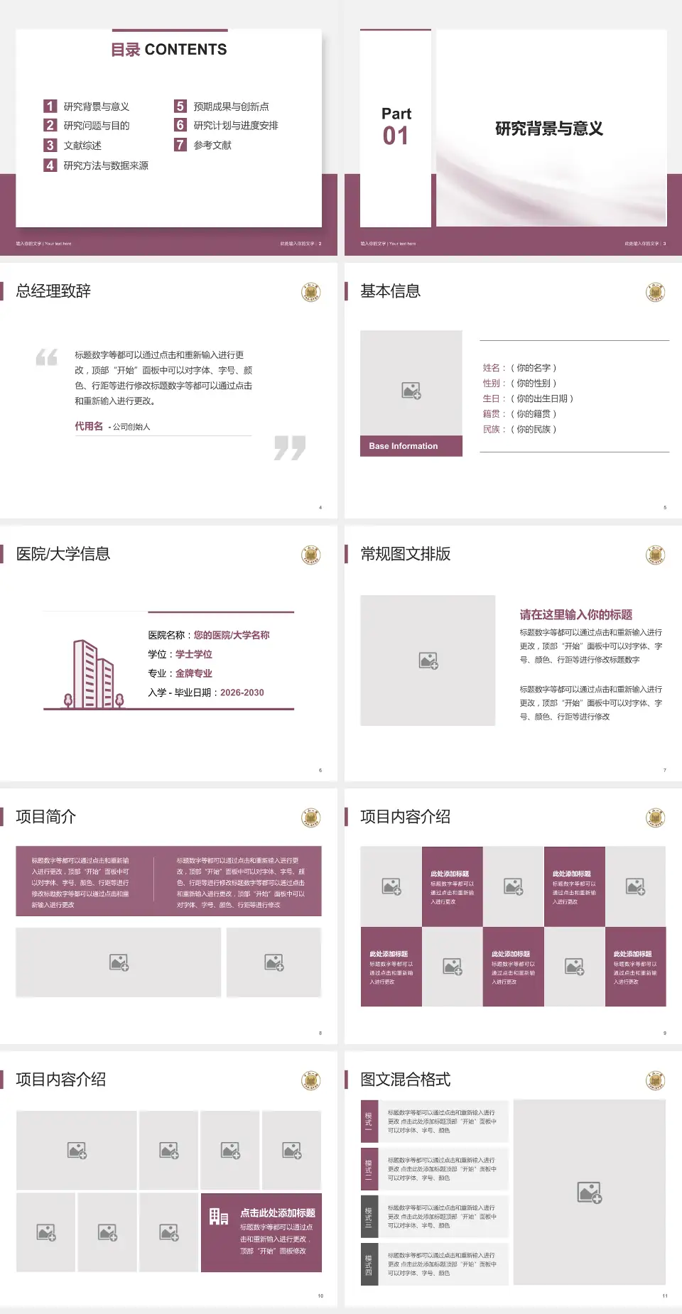 中山大学附属第一医院惠亚医院个人求职应聘简历PPT模板4:3格式幻灯片预览图2
