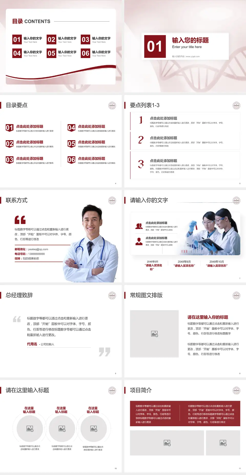 东莞市人民医院普济分院项目申请与汇报PPT模板4:3格式幻灯片预览图2