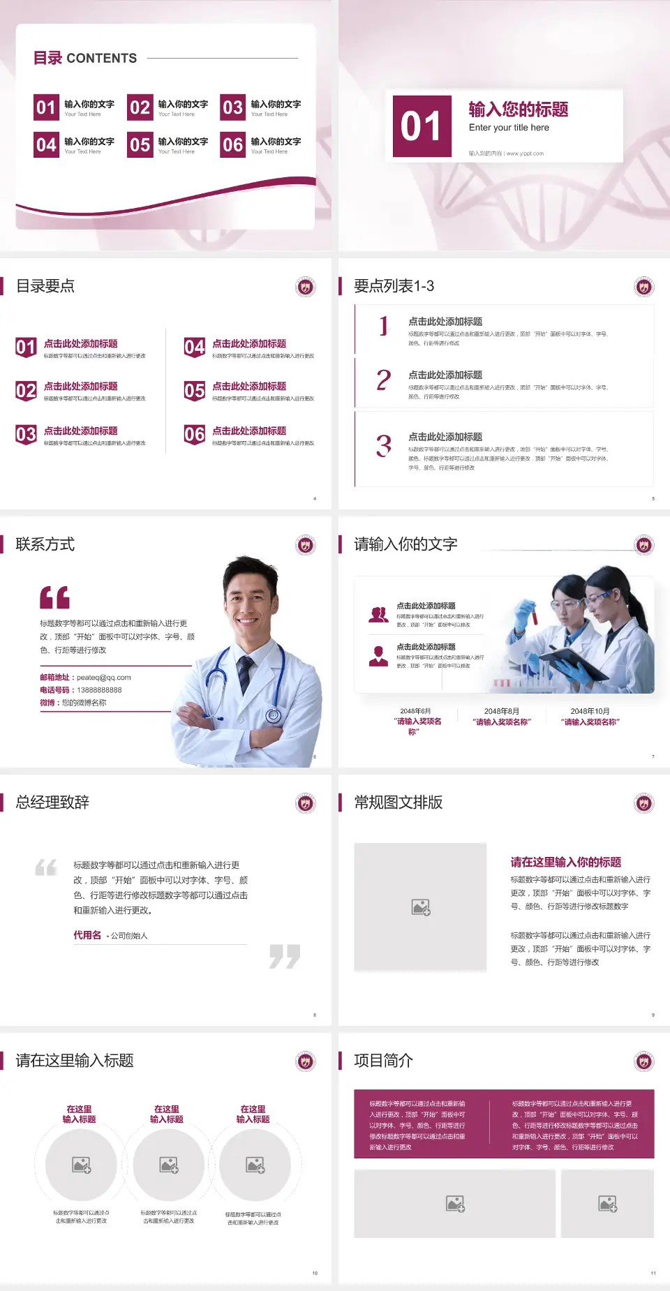 西北妇女儿童医院项目申请与汇报PPT模板4:3格式幻灯片预览图2