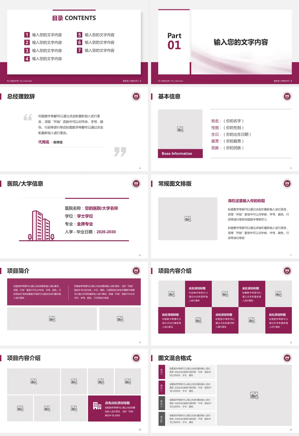 西北妇女儿童医院个人求职应聘简历PPT模板16:9格式幻灯片预览图2
