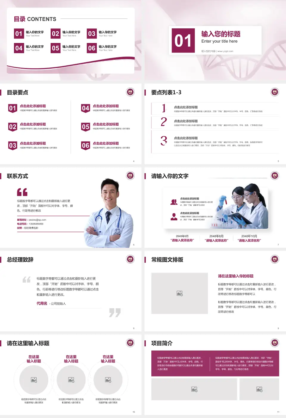 西北妇女儿童医院项目申请与汇报PPT模板16:9格式幻灯片预览图2