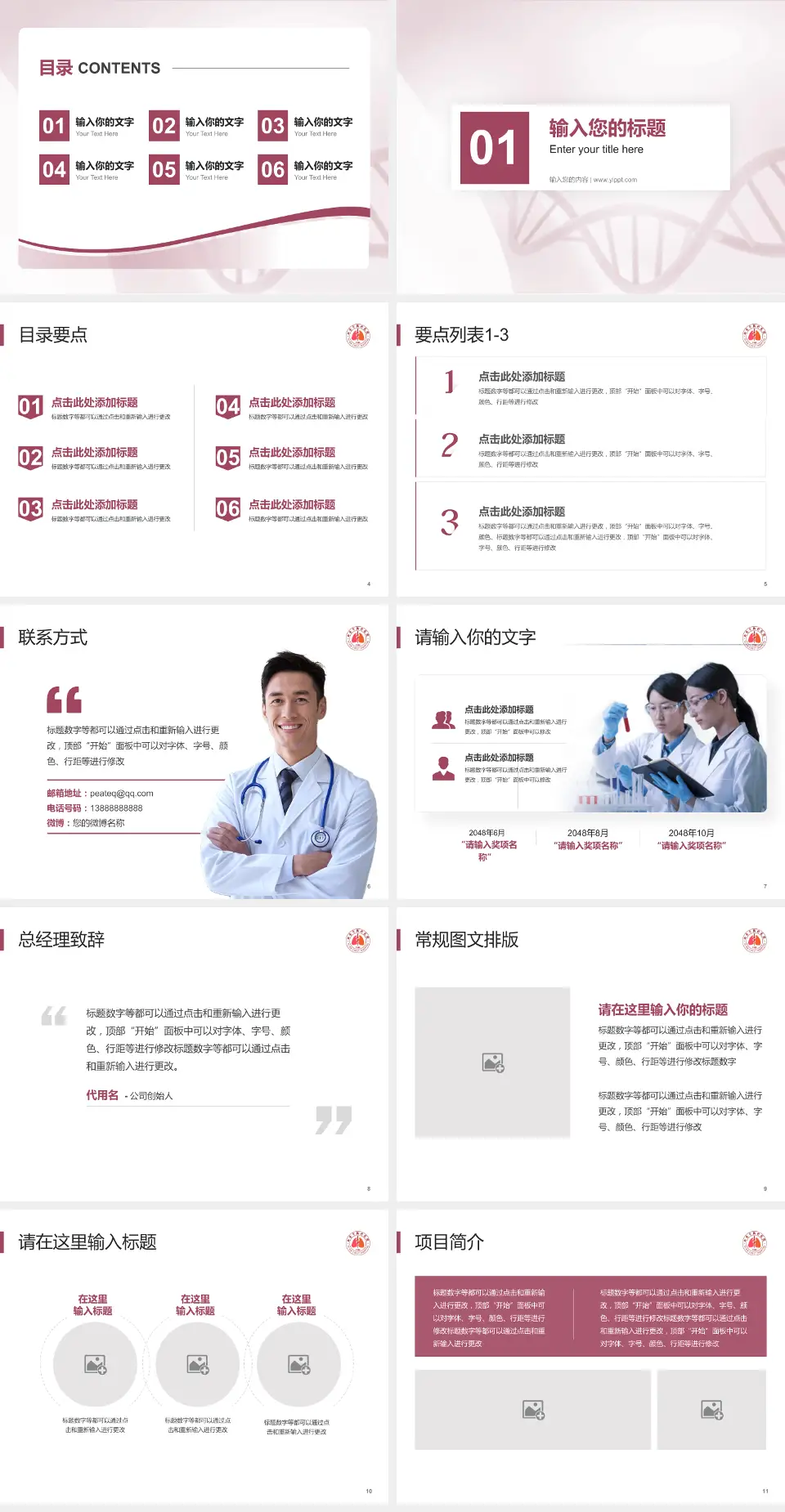 西安市胸科医院项目申请与汇报PPT模板4:3格式幻灯片预览图2