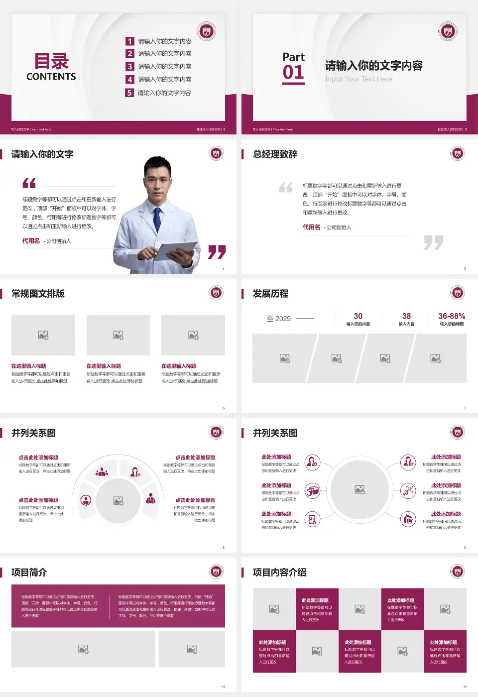 西北妇女儿童医院医院管理报告PPT模板16:9格式幻灯片预览图2