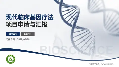 六安市中医院项目申请与汇报PPT模板