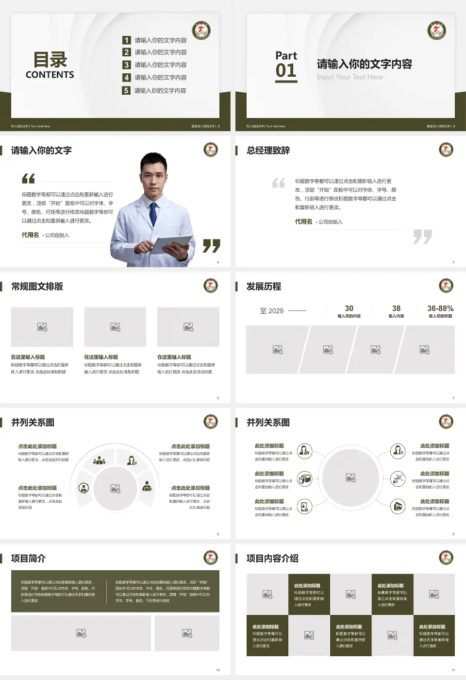 临夏七医院医院管理报告PPT模板16:9格式幻灯片预览图2