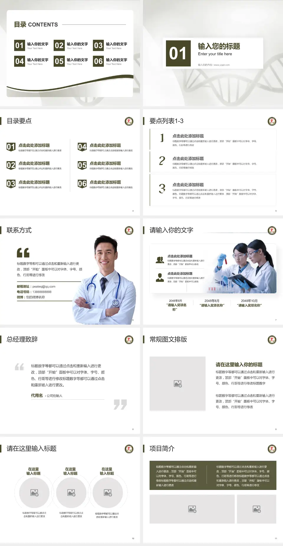 临夏七医院项目申请与汇报PPT模板4:3格式幻灯片预览图2